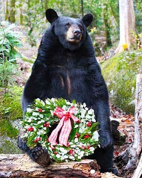 Bear and Wreath