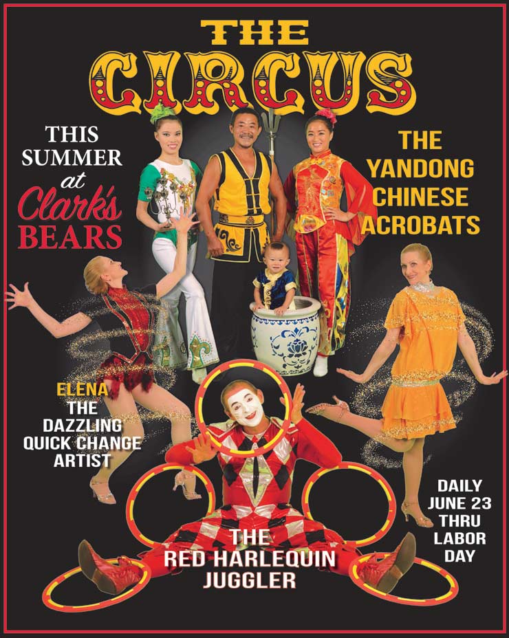 The Clark's Bears Summer Circus