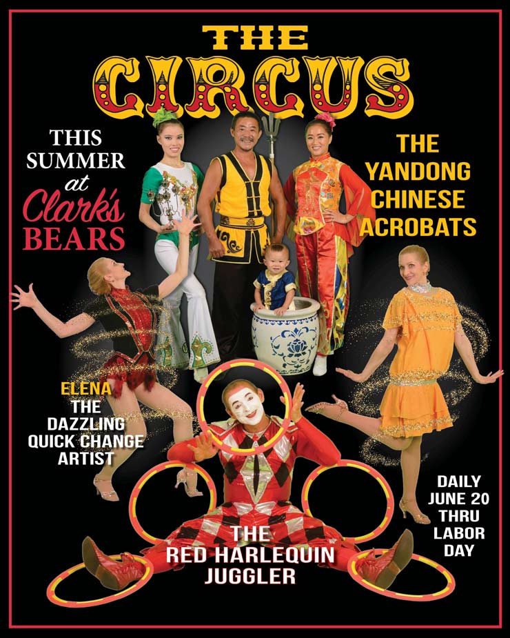 The Clark's Bears Summer Circus