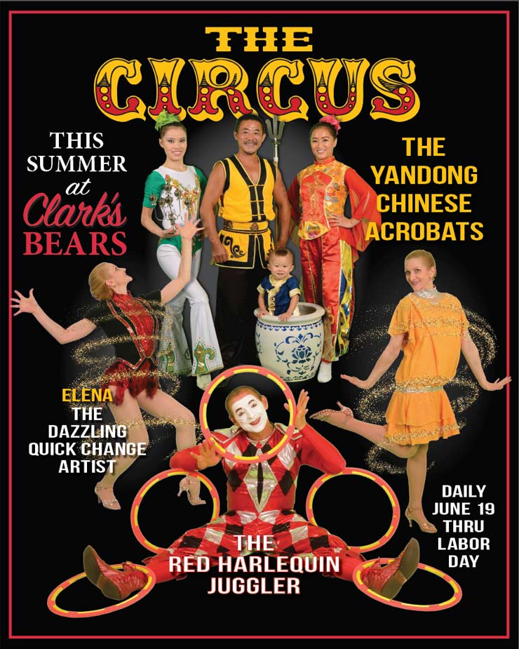 The Clark's Bears Summer Circus